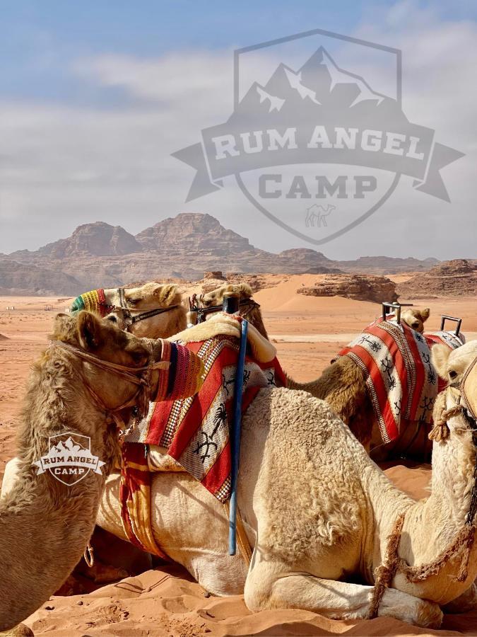 Rum Angel Camp Wadi Rum Luaran gambar