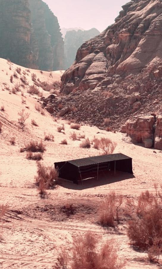 Rum Angel Camp Wadi Rum Luaran gambar